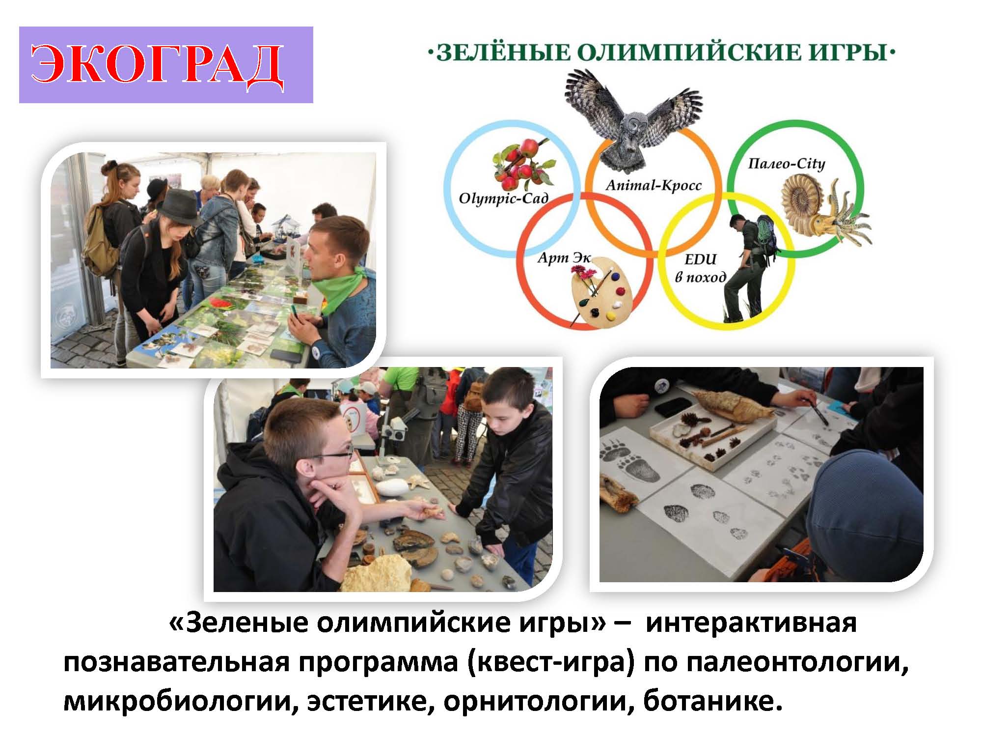 ФЕСТИВАЛЬ  презентация