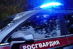 В Москве росгвардейцы задержали курьера с наркотиками, спрятанными в кондитерском изделии